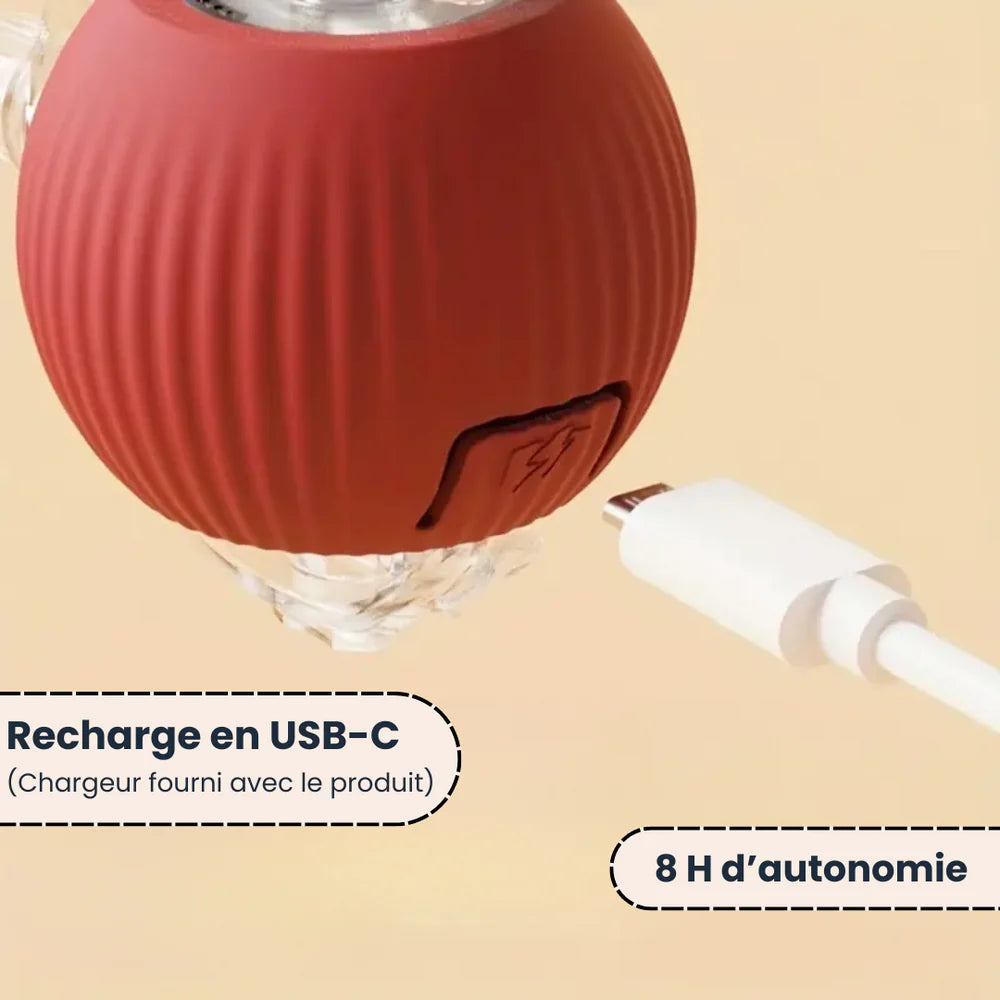 PlayBall™ - Jouet Interactif pour Chats