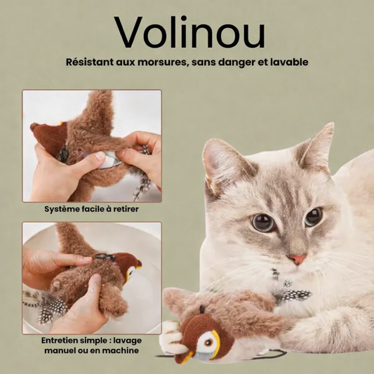 Volinou – L'Oiseau Interactif qui Réveille le Chasseur en Votre Chat