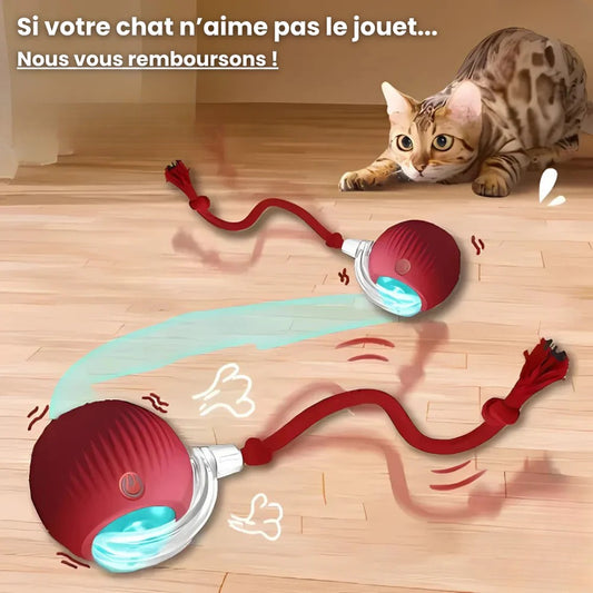 PlayBall™ - Jouet Interactif pour Chats