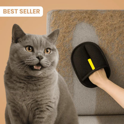 Gant statique attrape-poils