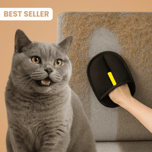 Gant statique attrape-poils