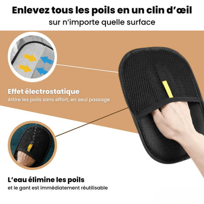 Gant statique attrape-poils