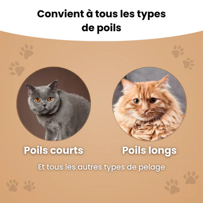 SmartBrosse™ - Peigne anti-poils morts