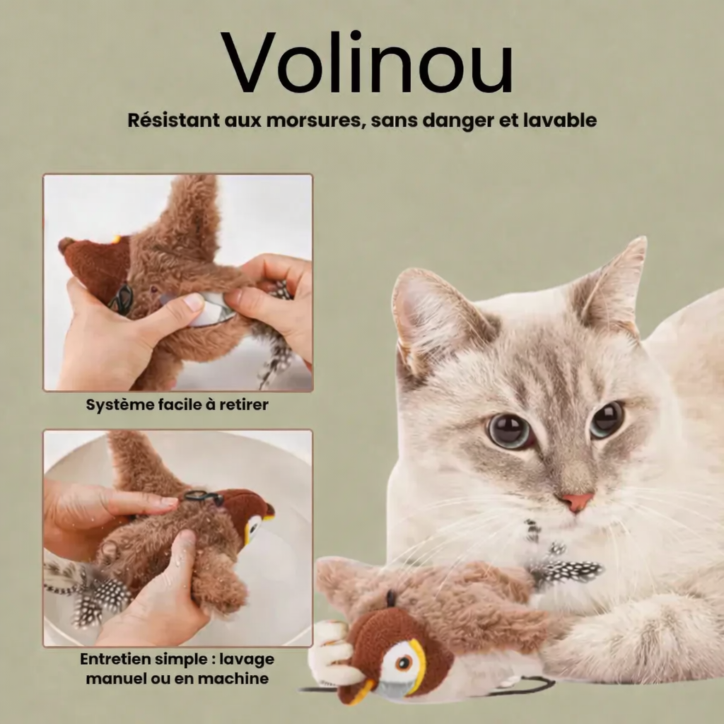 Volinou – L'Oiseau Interactif qui Réveille le Chasseur en Votre Chat